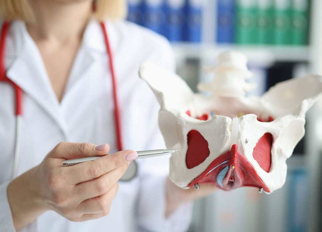 Vibration Feeling in the Pelvic Area: Causes and What it Means