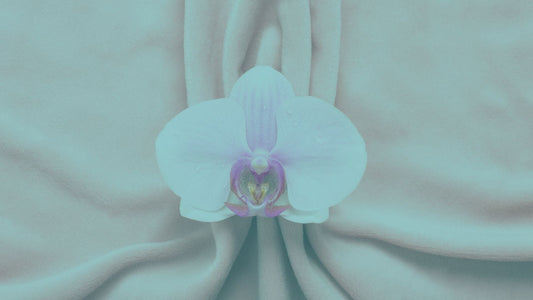 7 Best Feminine Washes That Actually Work